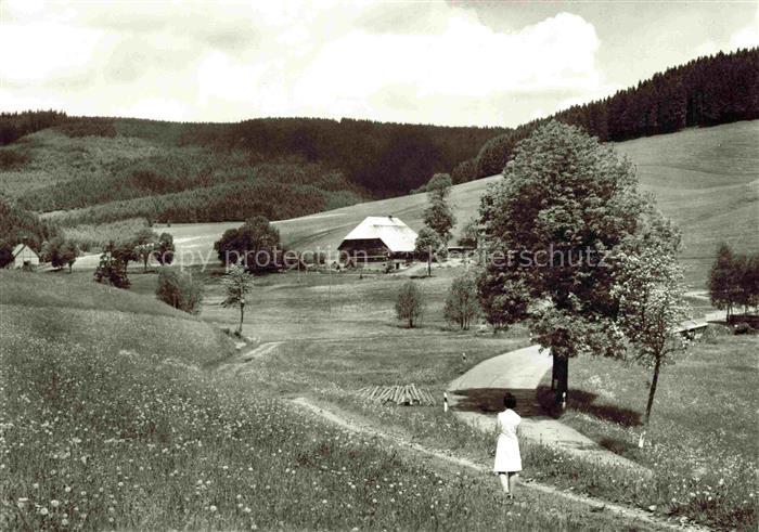 Langenordnach Titisee-Neustadt Gasthof Hirschen