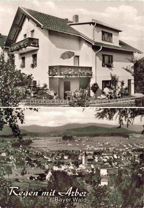 Regen Bayern Gaestehaus Michael Weber Panorama