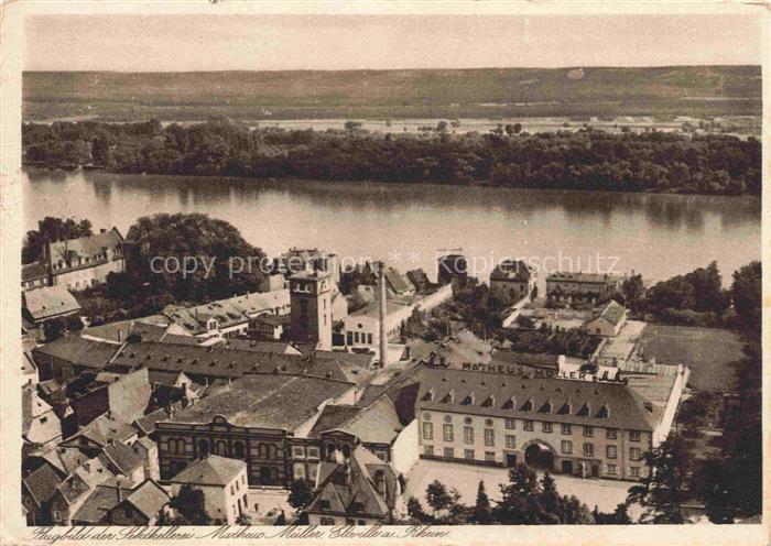 Eltville Rhein Sektkellerei Matheus Mueller Panorama