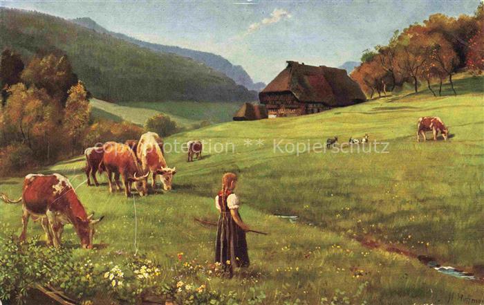 Hoffmann  Heinrich Kuenstlerkarte Sueddeutschland Alsace Weidende Herde