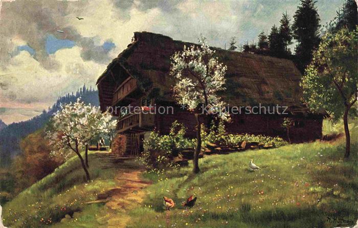 Hoffmann  Heinrich Kuenstlerkarte Sueddeutschland Alsace Fruehling in Schwarzwal