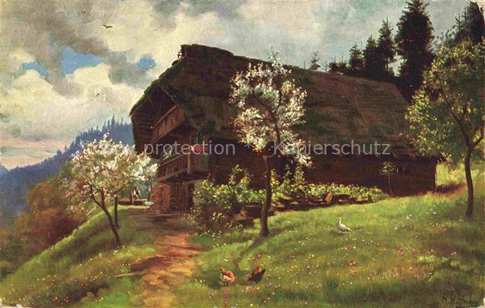 Hoffmann  Heinrich Kuenstlerkarte Sueddeutschland Alsace Fruehling im Schwarzwal