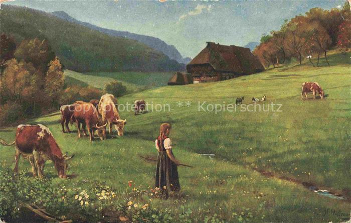 Hoffmann  Heinrich Kuenstlerkarte Sueddeutschland Alsace Weidende Herde