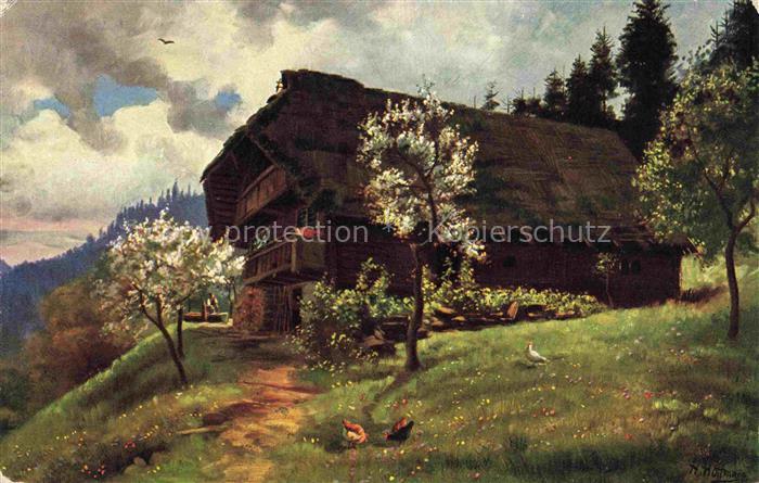 Hoffmann  Heinrich Kuenstlerkarte Sueddeutschland Alsace Fruehling in Schwarzwal