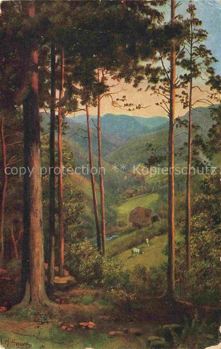 Hoffmann  Heinrich Kuenstlerkarte Sueddeutschland Alsace Durchblick ins Tal