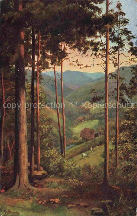 Hoffmann  Heinrich Kuenstlerkarte Sueddeutschland Alsace Durchblick ins Tal