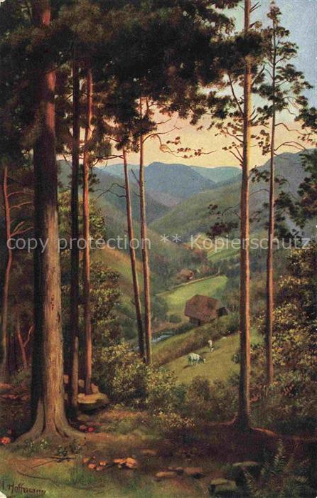 Hoffmann  Heinrich Kuenstlerkarte Sueddeutschland Alsace Durchblick ins Tal