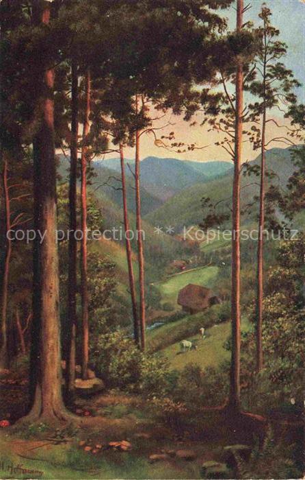 Hoffmann  Heinrich Kuenstlerkarte Sueddeutschland Alsace Durchblick ins Tal