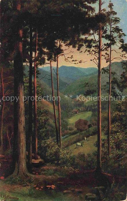 Hoffmann  Heinrich Kuenstlerkarte Sueddeutschland Alsace Durchblick ins Tal