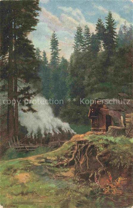 Hoffmann  Heinrich Kuenstlerkarte Sueddeutschland Alsace Roebler im Schwarzwald