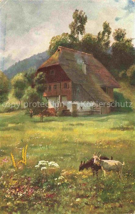 Hoffmann  Heinrich Kuenstlerkarte Sueddeutschland Alsace Im bluehenden Wiesengru