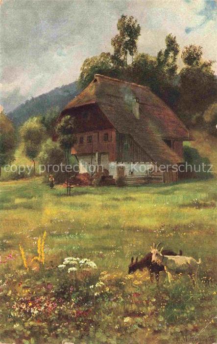 Hoffmann  Heinrich Kuenstlerkarte Sueddeutschland Alsace Im bluehenden Wiesengru