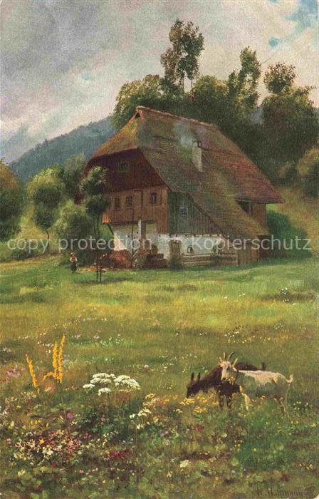 Hoffmann  Heinrich Kuenstlerkarte Sueddeutschland Alsace In bluehenden Wiesengru