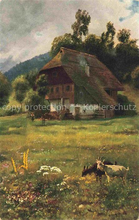 Hoffmann  Heinrich Kuenstlerkarte Sueddeutschland Alsace Im bluehenden Wiesengru