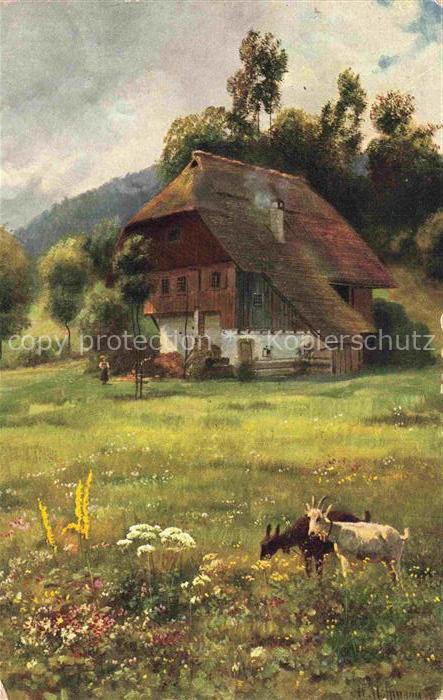 Hoffmann  Heinrich Kuenstlerkarte Sueddeutschland Alsace Im bluehenden Wiesengru