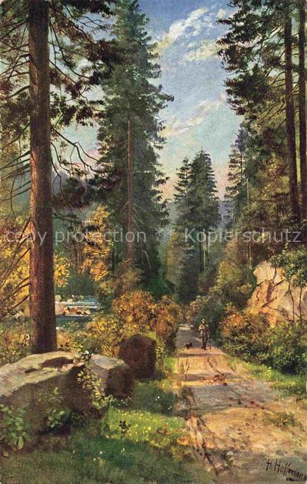 Hoffmann  Heinrich Kuenstlerkarte Sueddeutschland Alsace Schwarzwald Tannen