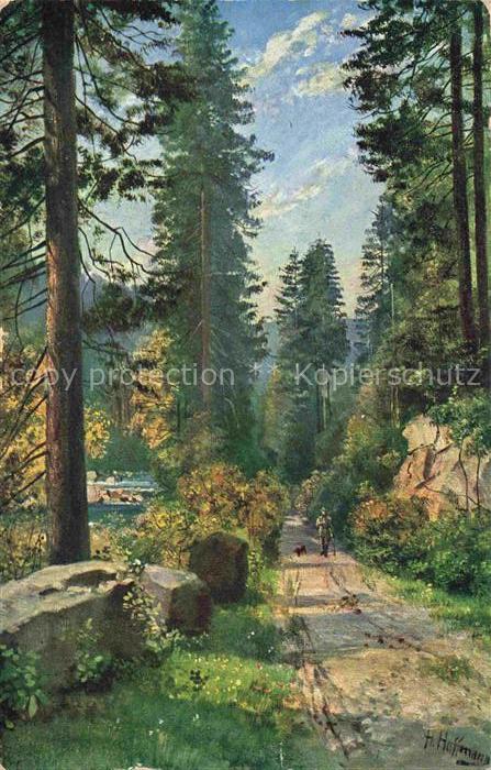 Hoffmann  Heinrich Kuenstlerkarte Sueddeutschland Alsace Schwarzwald Tannen