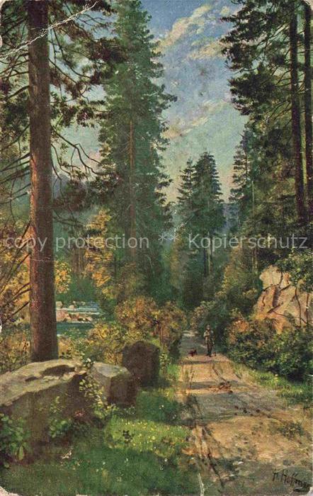 Hoffmann  Heinrich Kuenstlerkarte Sueddeutschland Alsace Schwarzwald Tannen