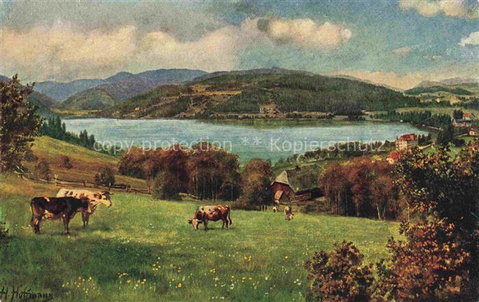 Hoffmann  Heinrich Kuenstlerkarte Sueddeutschland Alsace Titisee mit Feldberg