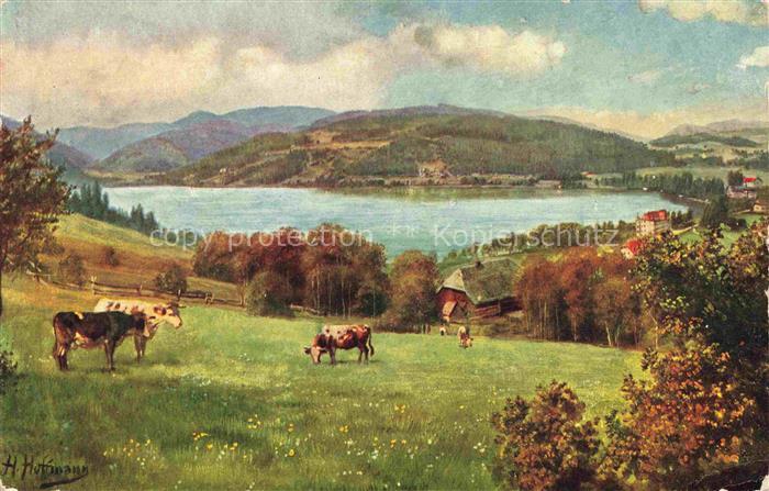 Hoffmann  Heinrich Kuenstlerkarte Sueddeutschland Alsace Titisee mit Feldberg