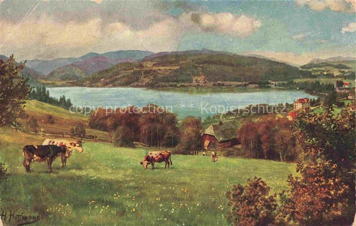 Hoffmann  Heinrich Kuenstlerkarte Sueddeutschland Alsace Titisee mit Feldberg