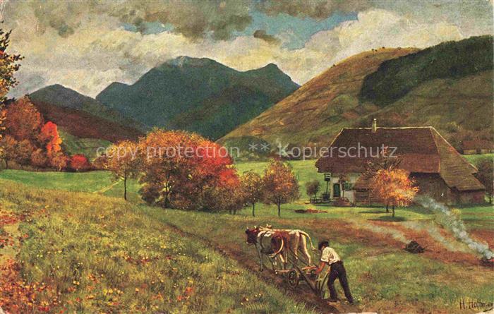 Hoffmann  Heinrich Kuenstlerkarte Sueddeutschland Alsace Untermuenstertal mit de