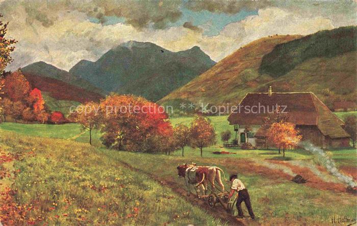 Hoffmann  Heinrich Kuenstlerkarte Sueddeutschland Alsace Untermuenstertal mit de