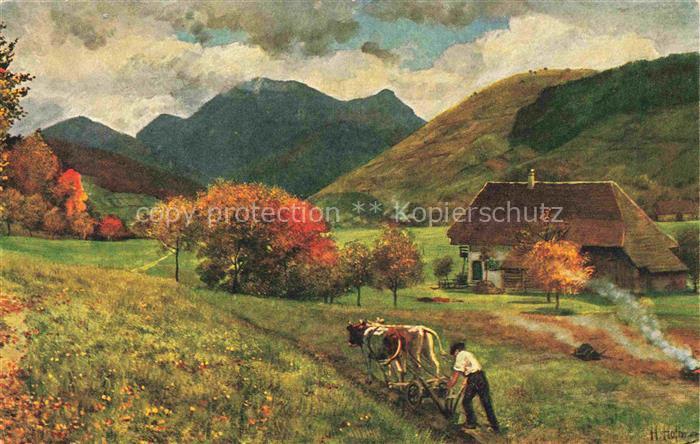 Hoffmann  Heinrich Kuenstlerkarte Sueddeutschland Alsace Untermuenstertal mir de