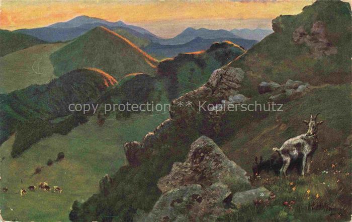 Hoffmann  Heinrich Kuenstlerkarte Sueddeutschland Alsace Bad Belchen Hochkelch g
