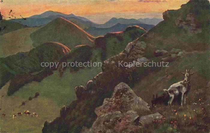Hoffmann  Heinrich Kuenstlerkarte Sueddeutschland Alsace Bad Belchen