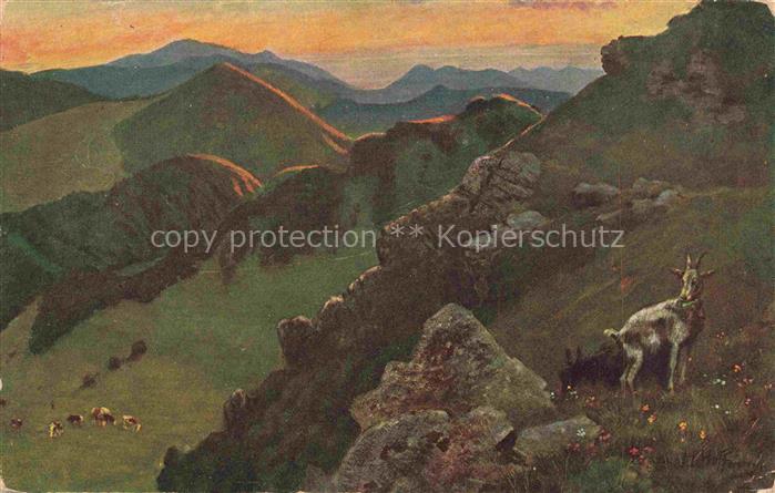 Hoffmann  Heinrich Kuenstlerkarte Sueddeutschland Alsace Bad Belchen