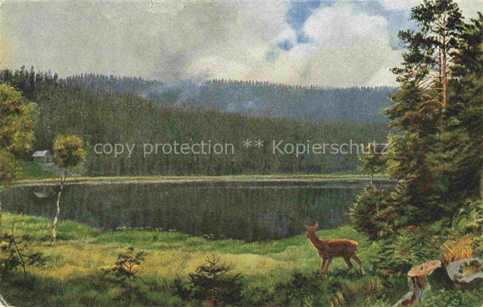 Hoffmann  Heinrich Kuenstlerkarte Sueddeutschland Alsace Am Schurmsee im Schwarz