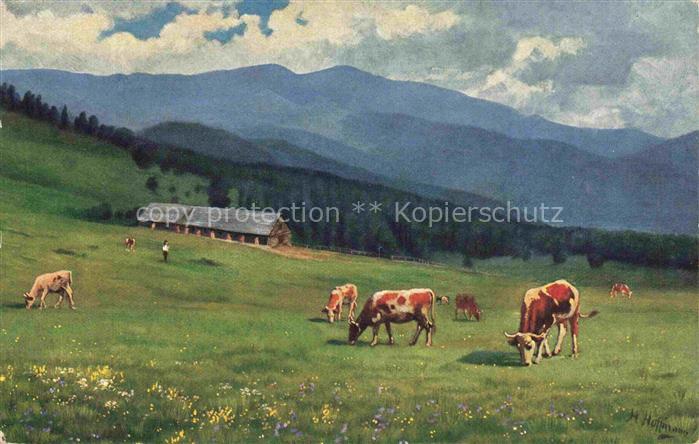 Hoffmann  Heinrich Kuenstlerkarte Sueddeutschland Alsace Melkerei Belacker mit B