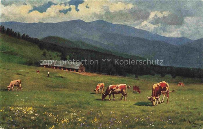 Hoffmann  Heinrich Kuenstlerkarte Sueddeutschland Alsace Melkerei Belacker blick