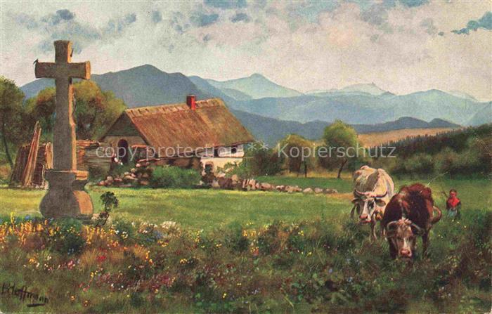 Hoffmann  Heinrich Kuenstlerkarte Sueddeutschland Alsace Bauernhaus am grossen B