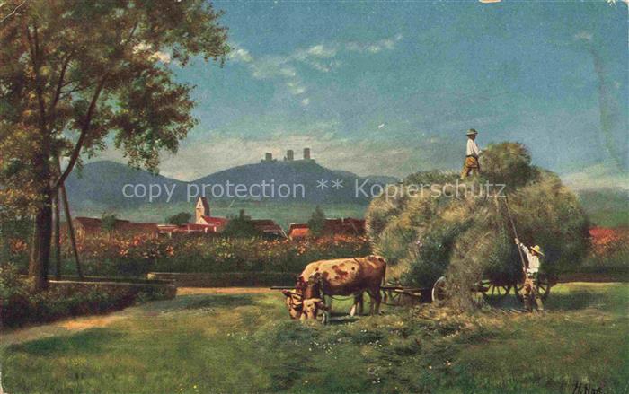 Hoffmann  Heinrich Kuenstlerkarte Sueddeutschland Alsace Drei Exen