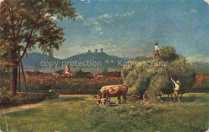 Hoffmann  Heinrich Kuenstlerkarte Sueddeutschland Alsace Drei Exen