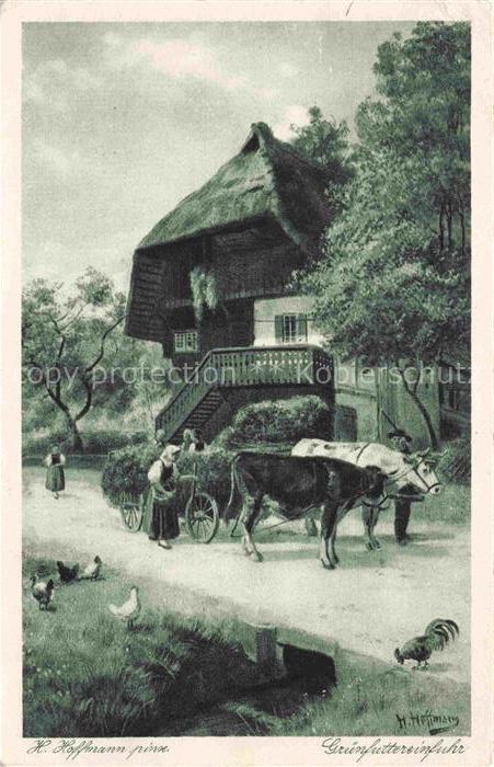 Hoffmann  Heinrich Kuenstlerkarte Sueddeutschland Alsace Gruenfuttereifuhr