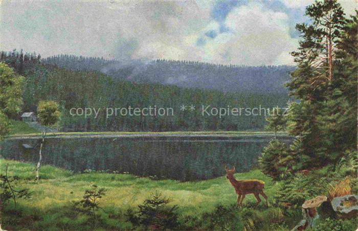 Hoffmann  Heinrich Kuenstlerkarte Sueddeutschland Alsace Im Schurmsee im Schwarz