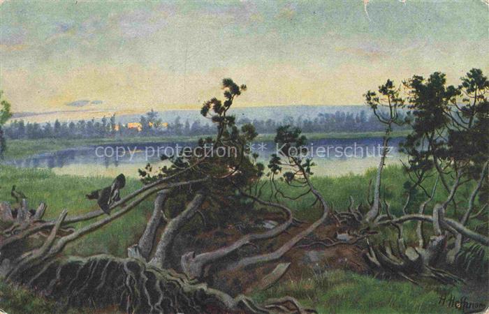 Hoffmann  Heinrich Kuenstlerkarte Sueddeutschland Alsace Der Horn oder Wildsee