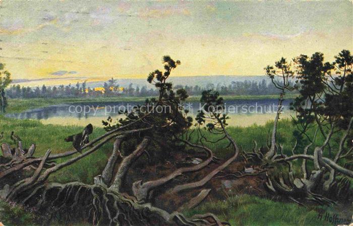 Hoffmann  Heinrich Kuenstlerkarte Sueddeutschland Alsace Der Horn oder Wildsee