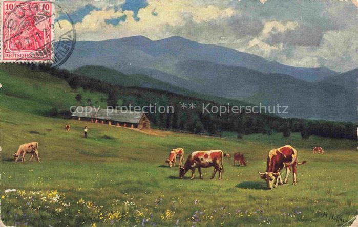 Hoffmann  Heinrich Kuenstlerkarte Sueddeutschland Alsace Melkerei Belacker Gross