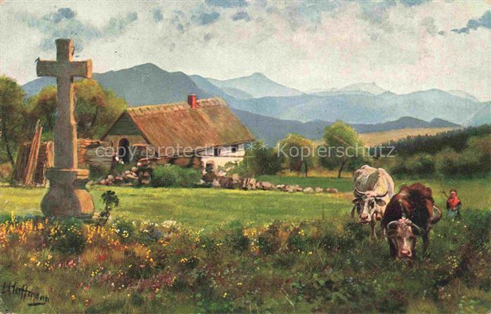 Hoffmann  Heinrich Kuenstlerkarte Sueddeutschland Alsace Bauernhaus grossen Hahn