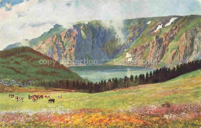 Hoffmann  Heinrich Kuenstlerkarte Sueddeutschland Alsace Weisser See
