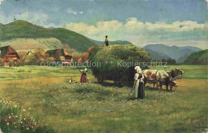 Hoffmann  Heinrich Kuenstlerkarte Sueddeutschland Alsace Heuernte im Schwarzwald