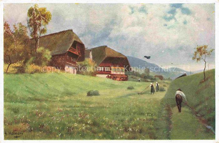 Hoffmann  Heinrich Kuenstlerkarte Sueddeutschland Alsace Partiie an der Schwarzw