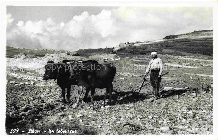 LEBANON A ploughman