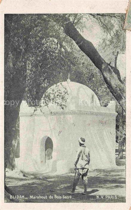 Blidah Blida Algerie Marabout du Bois Sacré
