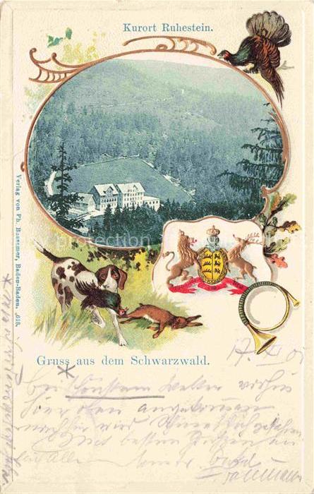 Ruhestein Baiersbronn BW Panorama Blick ins Tal Kurort im Schwarzwald Wappen Tie