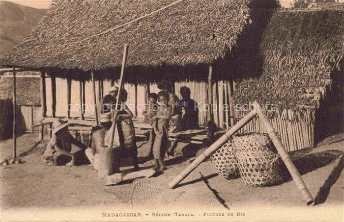 Tanala Madagascar Pileuse de Riz